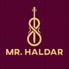 Mr Haldar