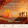 DJ Jardine (LTBH)