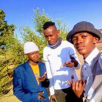 Hlokoloza by Zonta motati