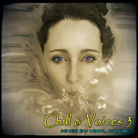 Chill & Voices 3 by vinyl maniac.mp3 by Szuflandia Tunez!