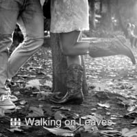 Walking on Leaves by Heisle House Music