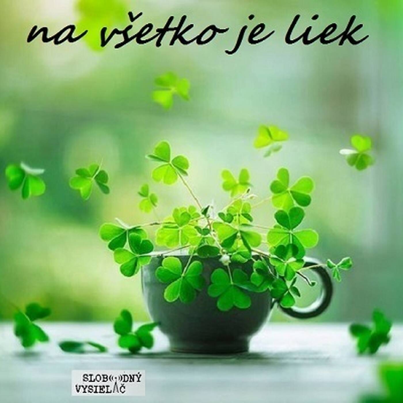 Na všetko je liek 181 - 2026-08-06 „Srdce a pľúca“