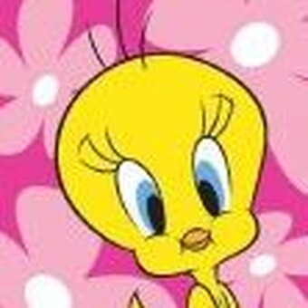 Zuzka Cs&aacute;jiov&aacute;