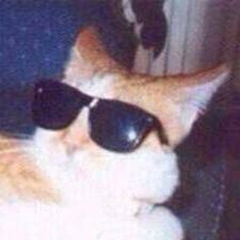 𝕮𝖆𝖙𝖓𝖎𝖕 𝕮𝖆𝖙