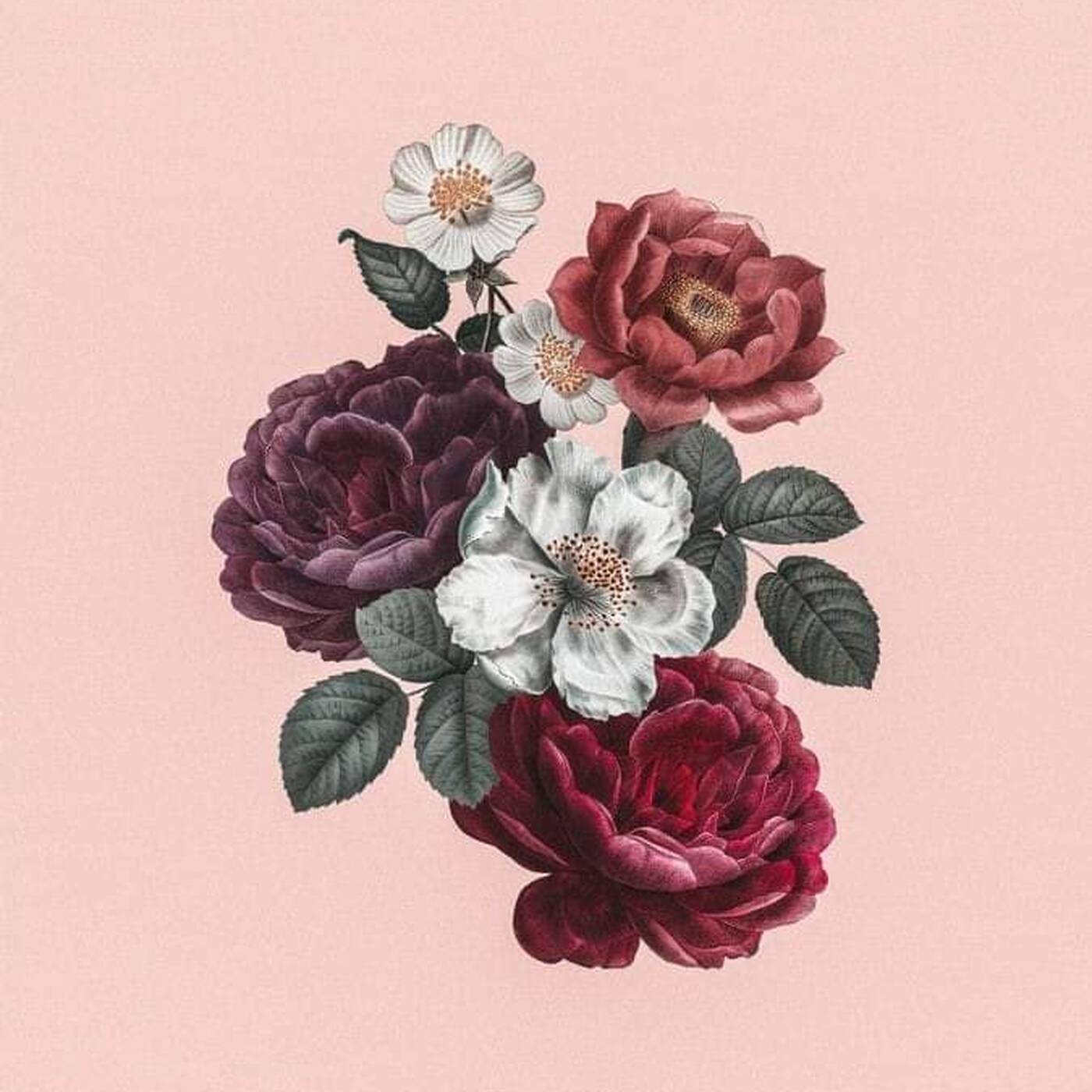 Vibe Good Autumn Leaves Mix Vibe Good Autumn Leaves Mix