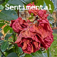 Sentimental by Seelensack