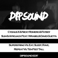Superstring Vs. Eat, Sleep, Rave, Repeat Vs. Ten Feet Tall (DIPSOUND EDIT) by DIPSOUND
