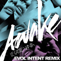LeCastleVania - Awake(Evol Intent Remix)TBT remaster by Evol Intent