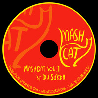 MashCat Vol.1 DJ Surda 2012 by MashCat
