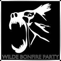 VA - Wilde Bonfire Party (Alle Affen springen wild) by NTACT