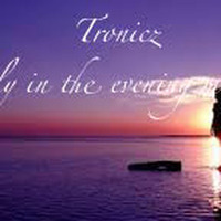 Tronicz - Early in the evening mix #4 by Mario Van de Walle (Tronicz)