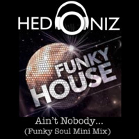 Ain't nobody (Funky Soul Mini Mix) by Hedoniz