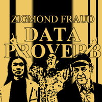 Data Proverb by zigmond fraud