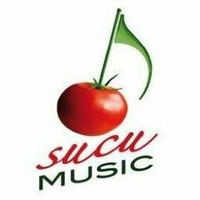 Netlabel Profiles: Sucu Music