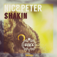 Shakin' (Kevin Prise Remix) - Out now by Nic&Peter