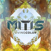 MitiS - Living Color (/fro Boy Remix) (BUY : Voting Here) by Afro Boy