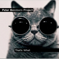 That's What (ft. Derek Cornett, Joe Drzewiecki, Daniele Turani, Vlad Josephson &amp; Walter Kelleher) by Peter Bennborn Project