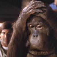 Every Which Way But Loose by Aunt B