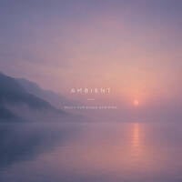 Ambient Mix by Shaun P