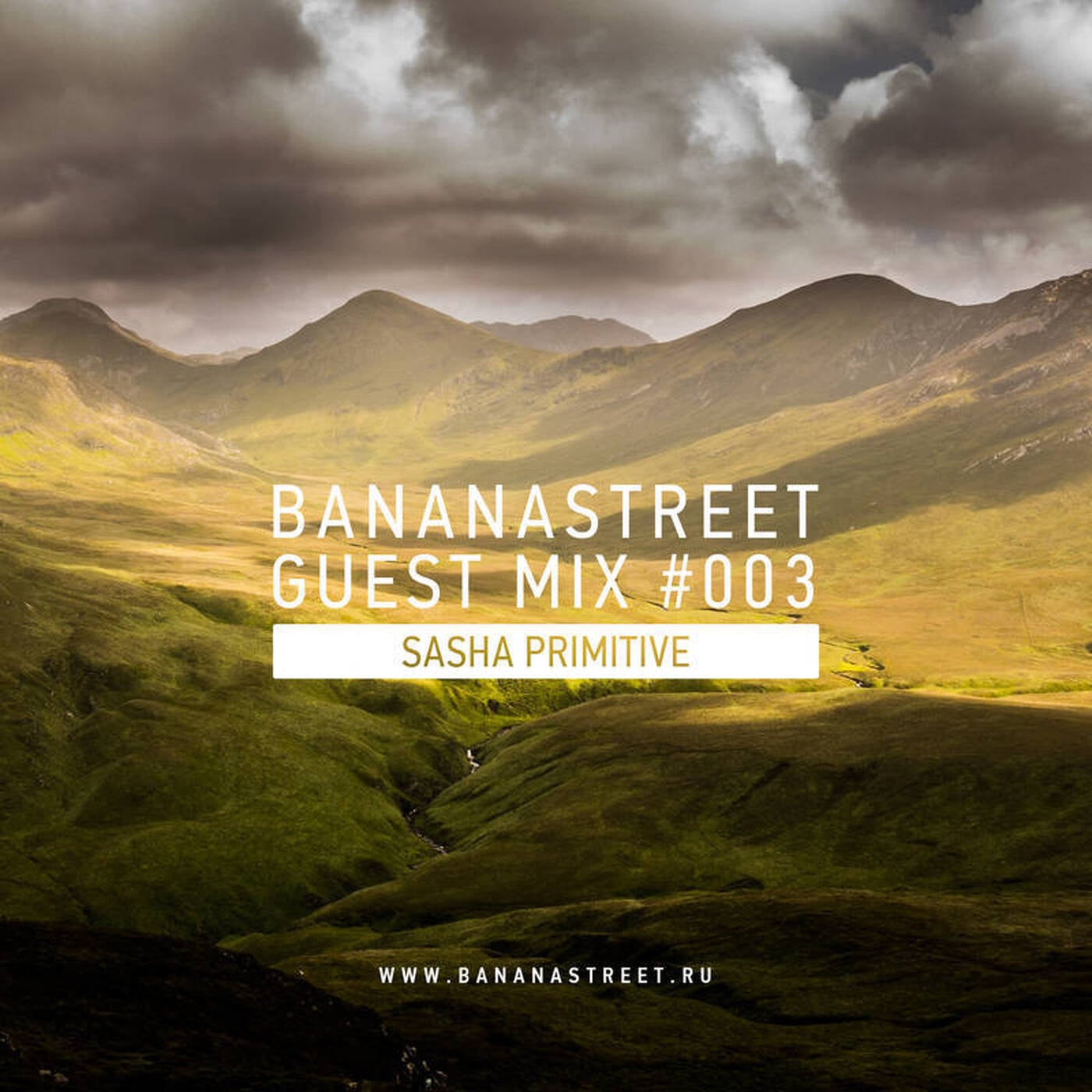 Sasha PRimitive  - Bananastreet Guest Mix #003