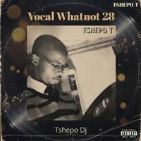 Vocal Whatnot 28 - Tshepo Dj by Stixx Sounds Live Sessions