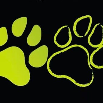 Too Great Lifestyles