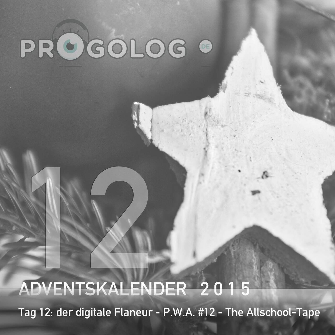 der digitale flaneur - P.W.A. #012 - The Allschooltape [progoak15] episode artwork