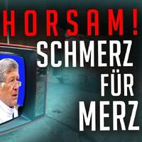 UNGEHORSAM! SCHMERZ FÜR MERZ by NuoFlix