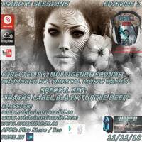 TRIBUTE SESSIONS - PODCAST 02 (SPECIAL SET TRACKS LABEL BLACK TURTLE DEEP) by Orbital Music Radio