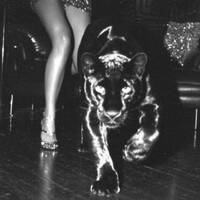 Rollercoaster VIII by Hi-Fi Mixtapes