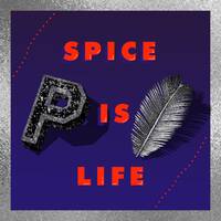 Paz - Spice Is Life - Night by Paz