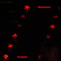 Beacons (2022 Remix/2022 Master) by whatsisname