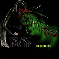Remixes