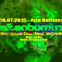 Lunatic Crius DJ Set Weltenbummler München 18.07.2015 by Lunatic Crius