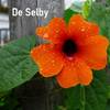 De Selby