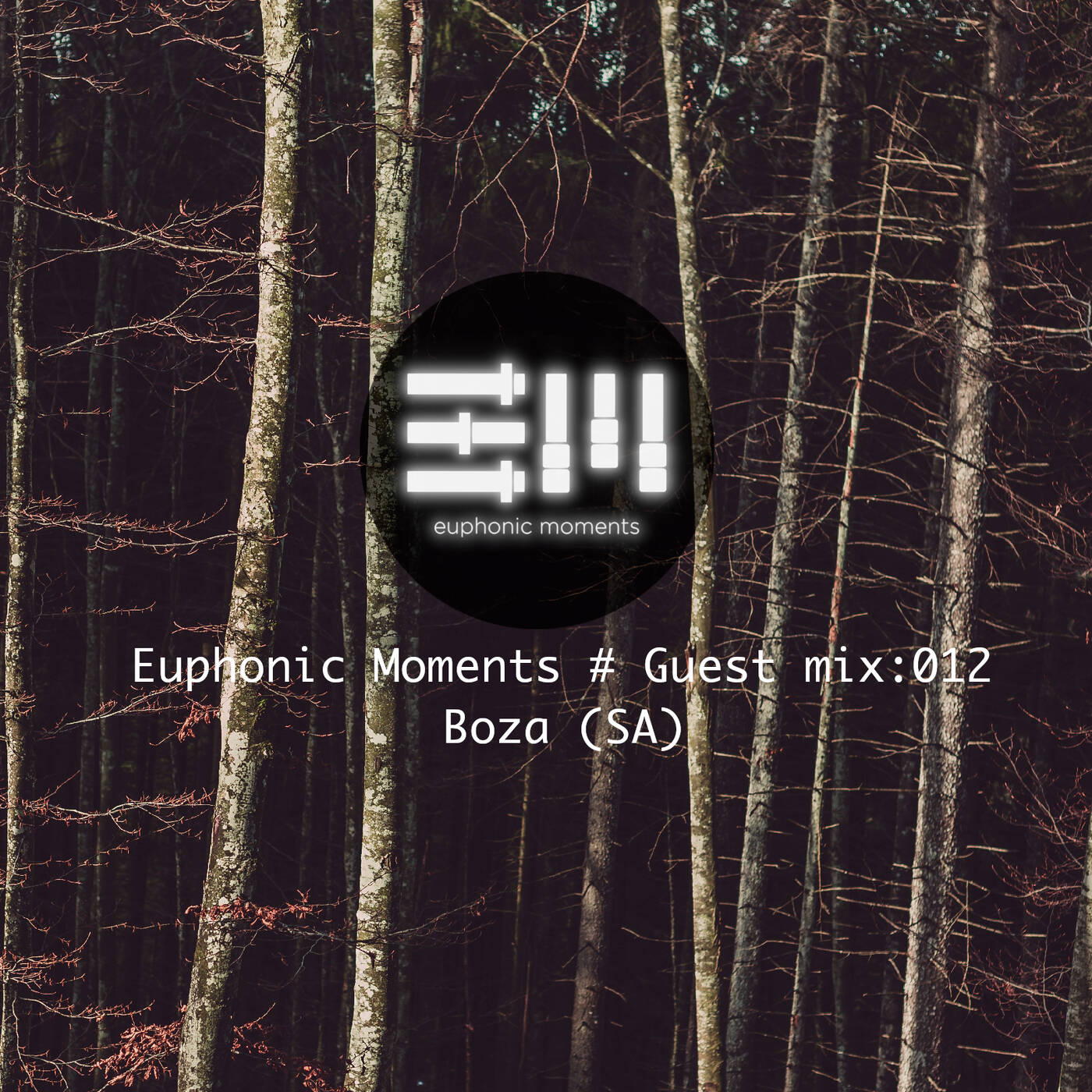 Euphonic Moments # Guest mix: 012 Boza (SA) episode artwork