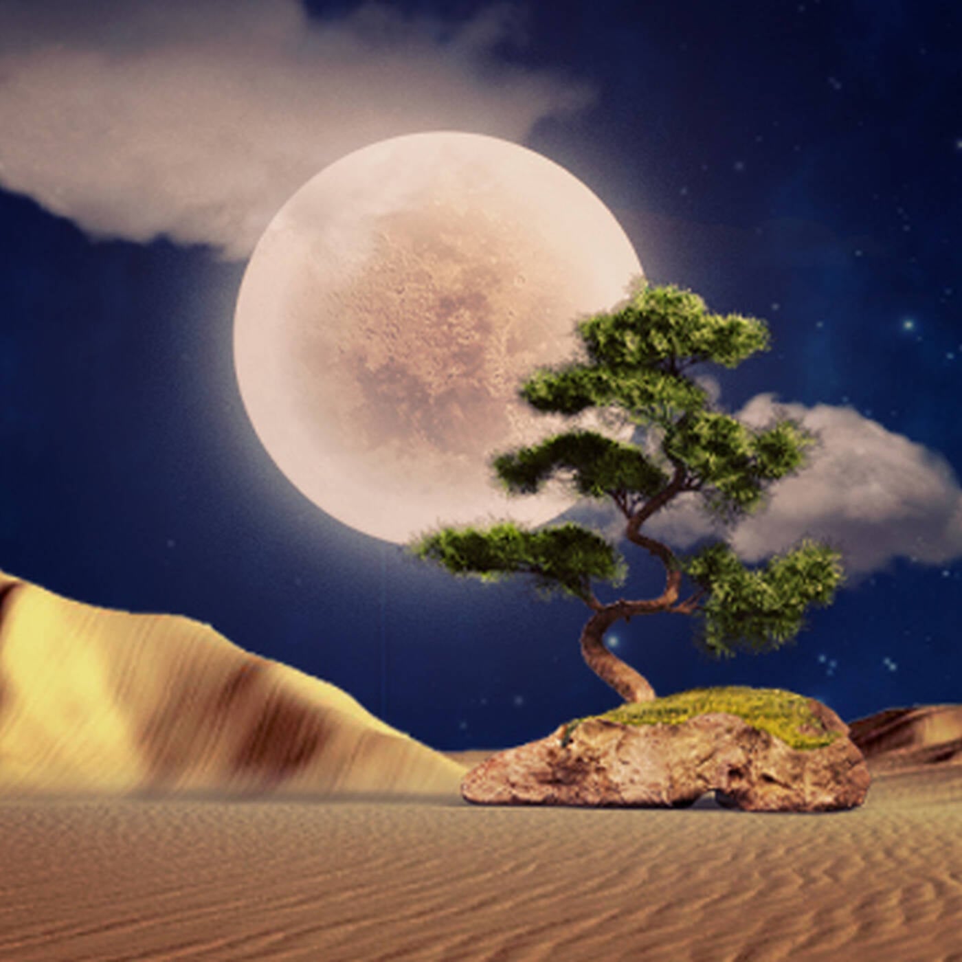 "The Moonlight" The Healers Podcast With UMngomezulu