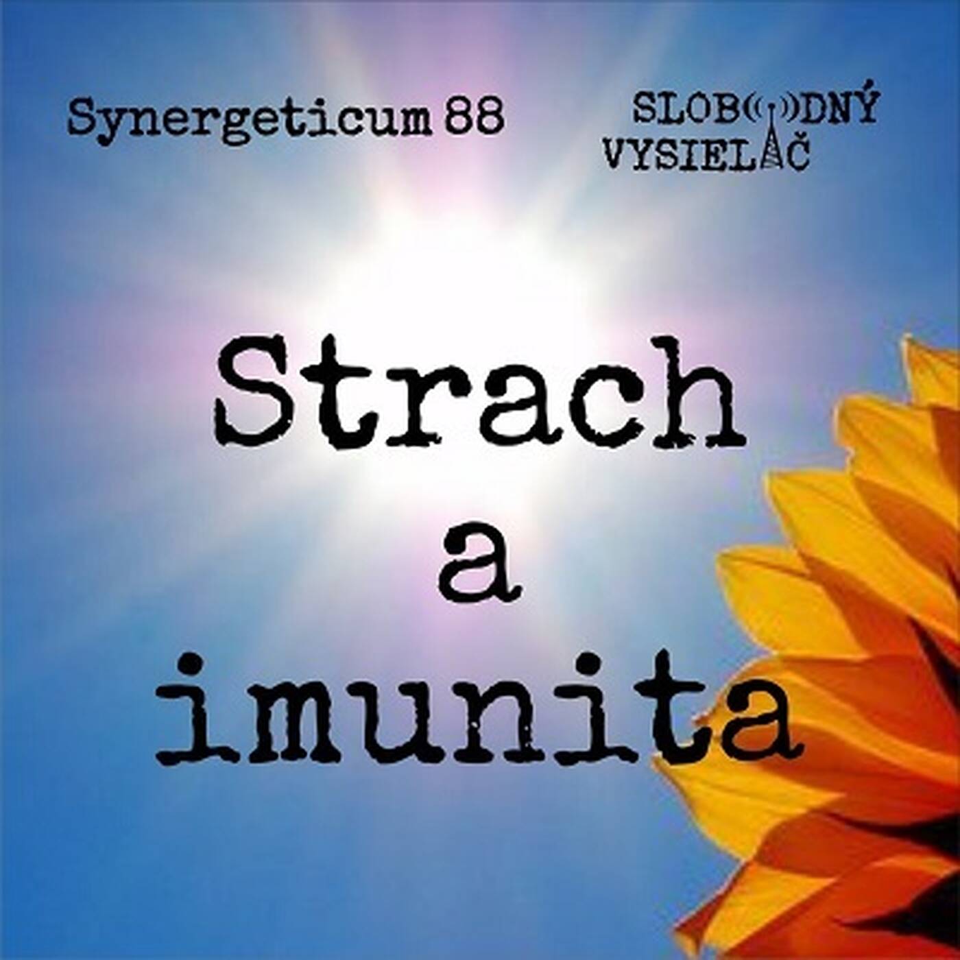 Synergeticum 88 - 2020-04-14 Strach a imunita episode artwork