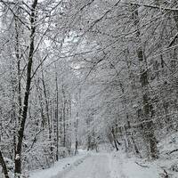 Soulful Afro Show 2025-01-04 by Dj TuXxL