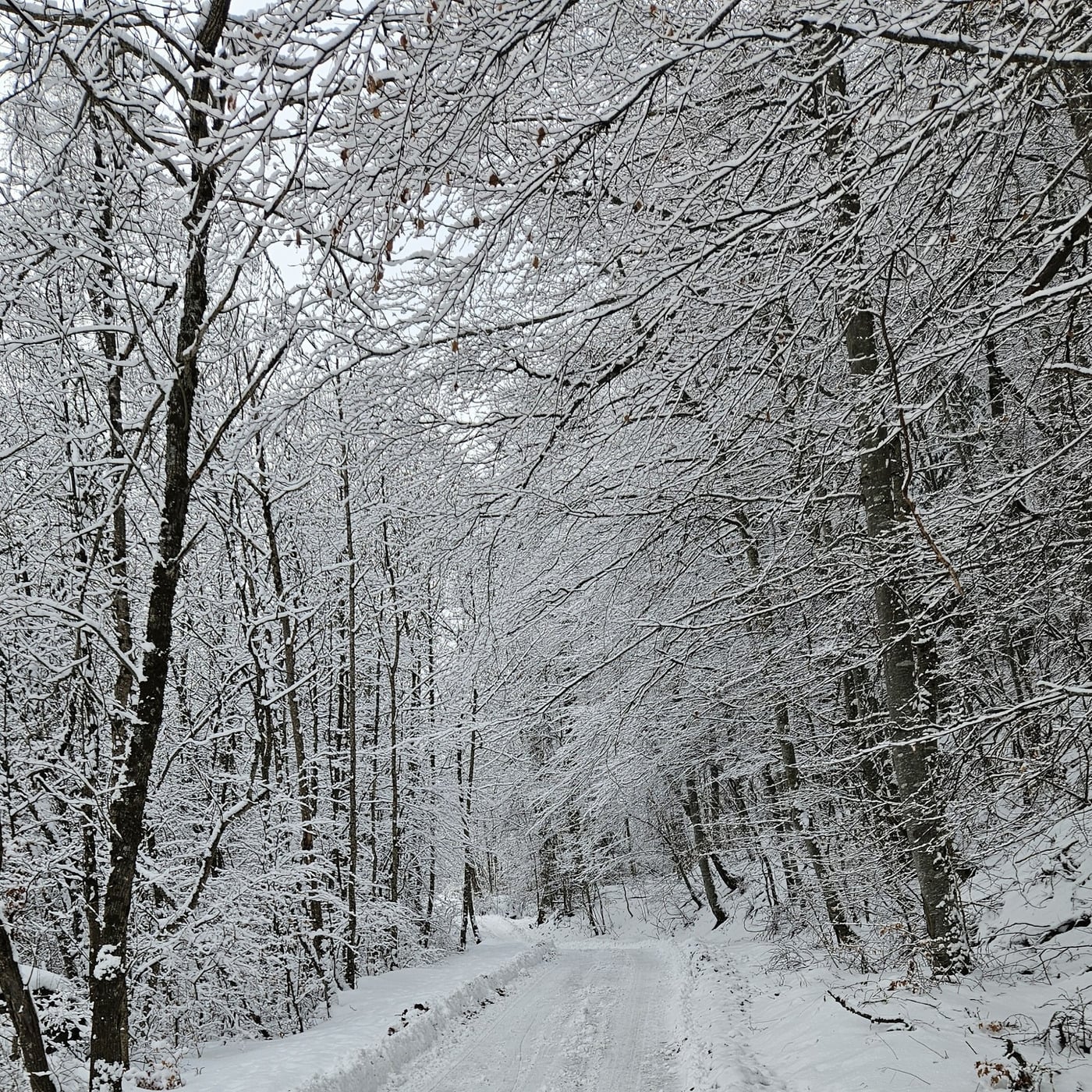 The Deep House Cave by Dj TuXxL (Univers DJ)