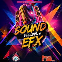 DJ Tay Wsg - Sound EFX Vol. 6 (EFX 2025) by Dream-Sound Media