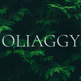 Oliaggy