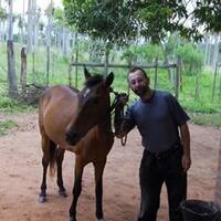 Campo con Caballo by Hans Krauß