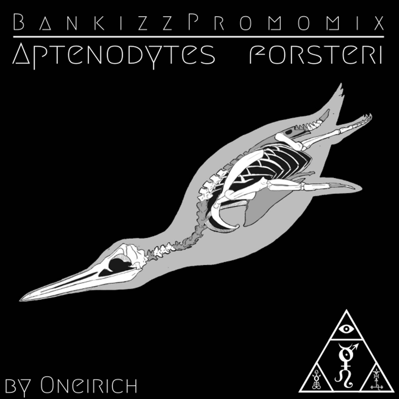 Oneirich - Promomix for Bankizz - Aptenodytes Forsteri episode artwork