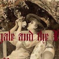 The Nightingale and the Rose by PaulWNash