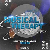 Musical Therapy session #13 (Road to the Chilla Nathi promo Mix) Mixed By Funky B by Duvie Dre