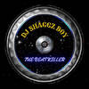 Dj Shaggz Boy the_beatkiller