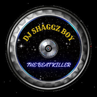 Dj Shaggz Boy the_beatkiller