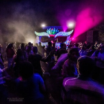 Martin Neural Neural