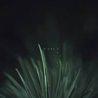 Nukua - Plemre by TSS BERLIN